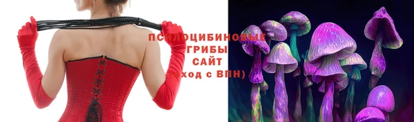 apvp Навашино